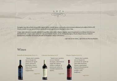 c6db11a71571f6269d8aa754fc40212f L Enoturistica - Winetrade lancia il sito web Arpavini.it
