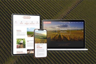WhatsApp Image 2021 04 28 at 12.32.24 Enoturistica - Nasce Vineyards.fi.it piattaforma di servizi di consulenza finanziaria per le aziende vinicole