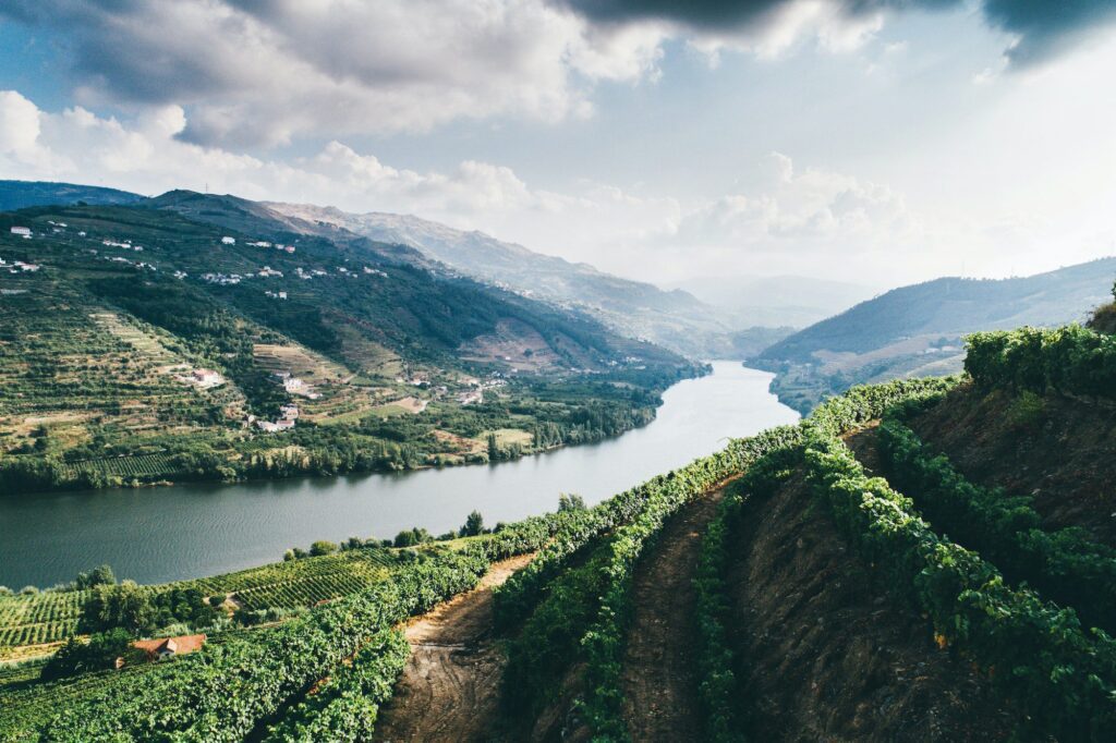 drone flying above rows of vineyards on slope in vine region of douro valley Enoturistica - Le migliori destinazioni enoturistiche del 2023: esperienze indimenticabili tra vigneti e cantine