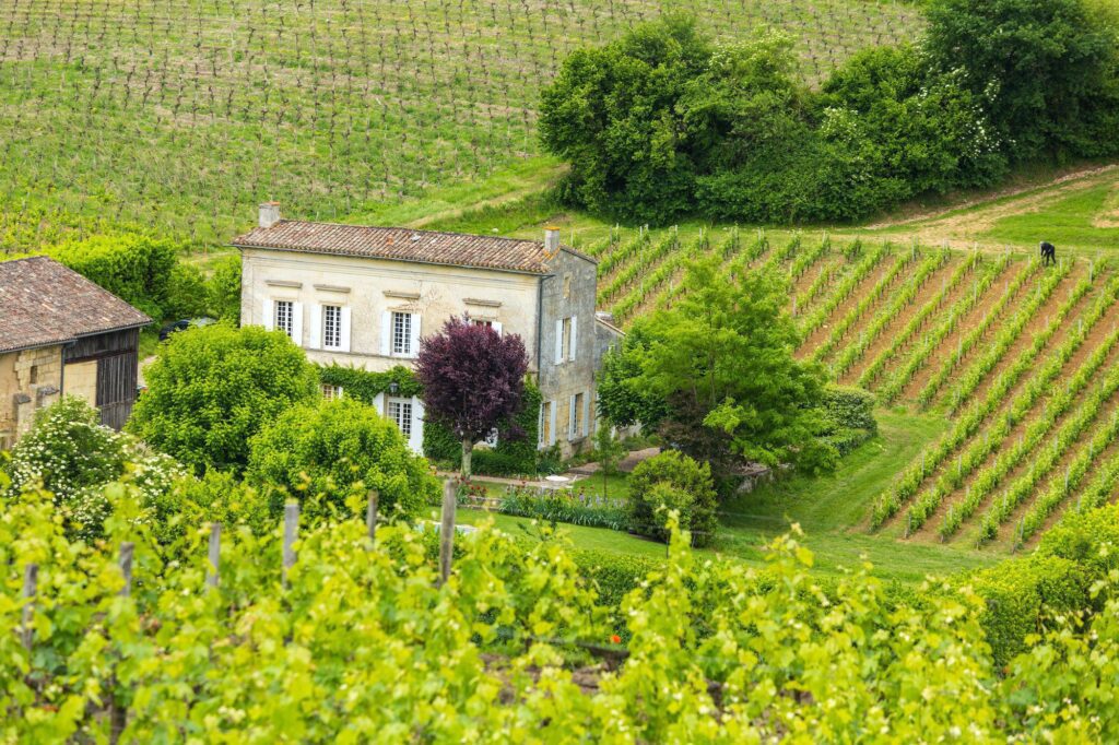 house and vineyard in the bordeaux region near st emilion Enoturistica - Le migliori destinazioni enoturistiche del 2023: esperienze indimenticabili tra vigneti e cantine