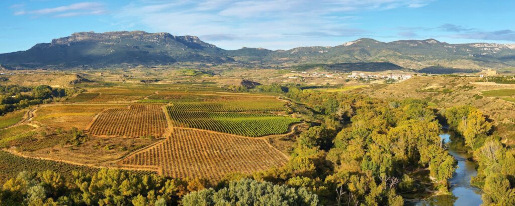 landscape with vineyards at la rioja spain Enoturistica - Le migliori destinazioni enoturistiche del 2023: esperienze indimenticabili tra vigneti e cantine