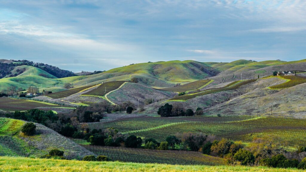 scenic view of the napa valley in california on a sunny autumn day Enoturistica - Le migliori destinazioni enoturistiche del 2023: esperienze indimenticabili tra vigneti e cantine