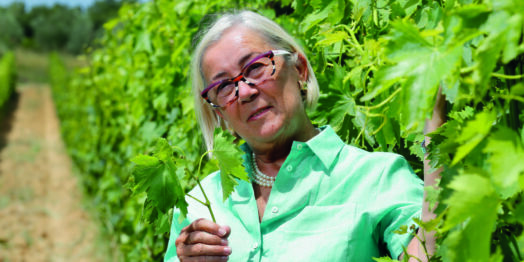 Donatella 5 1600x800 1 Enoturistica - 30 Edizioni di Cantine Aperte