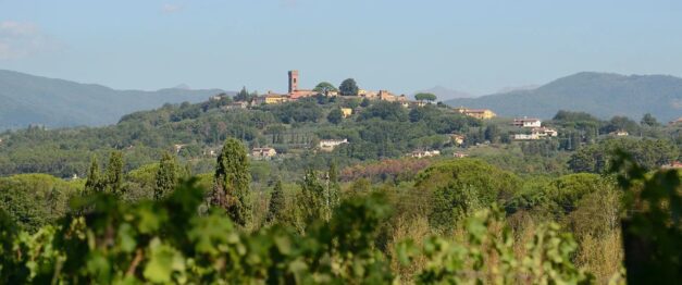 382753718 263948679941212 3202608090854960705 n Enoturistica - Wine Trek a Montecarlo con Azimut Treks