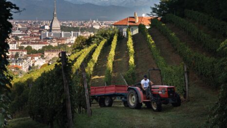 la bellezza sostenibile1 Enoturistica - La Bellezza Sostenibile salverà il mondo