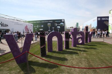 0ab0b21c a514 4542 9317 aa38355a686d Enoturistica - A Verona il mondo intorno a un calice: tutto pronto per lappuntamento Vinitaly