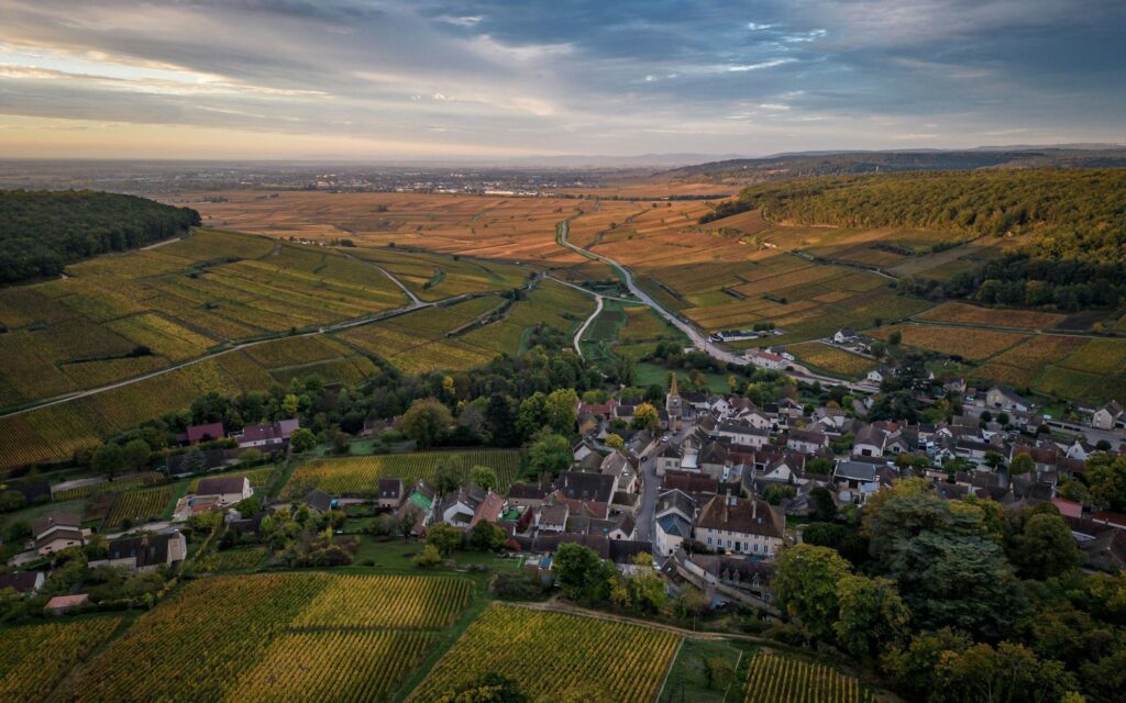 Pernand Vergelesses vineyards autumn