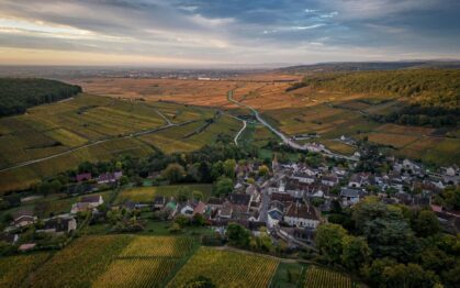 Pernand Vergelesses vineyards autumn