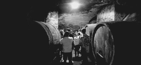 455698378 473751622294249 8526575975635945982 n Enoturistica - Le cantine di Camaldoli
