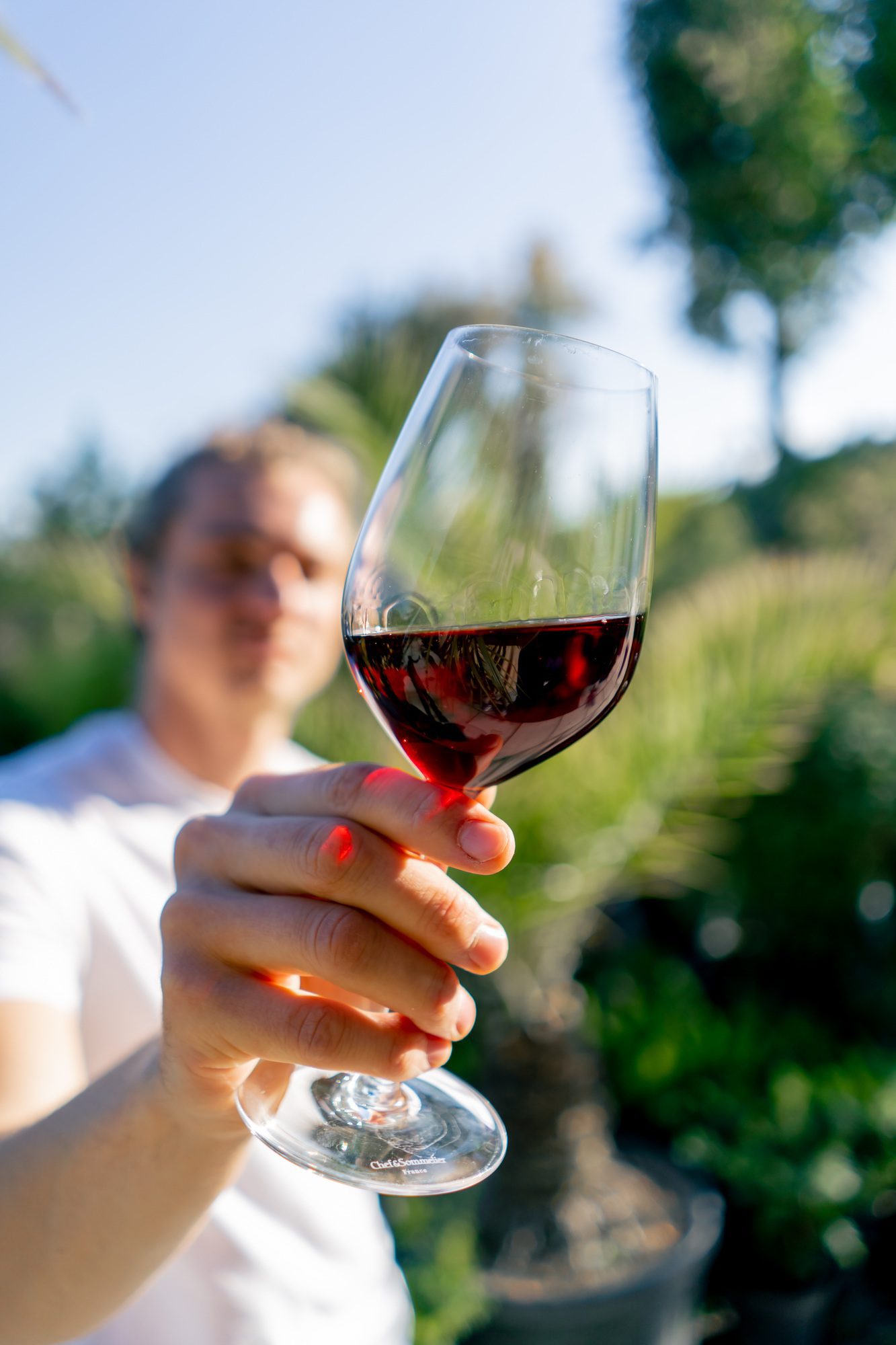 Vinometro - 2 - Turismo del Vino in Toscana A young charming man holds out a glass of wine to the camera and carefully examines the drink in sun