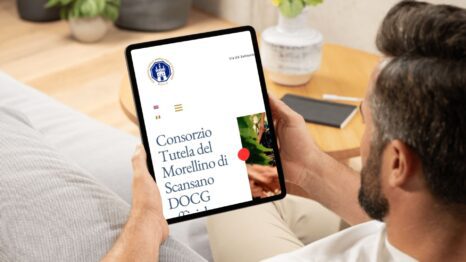 MORELLINO Enoturistica - Il Consorzio Morellino di Scansano si rinnova online: ecco il nuovo sito web