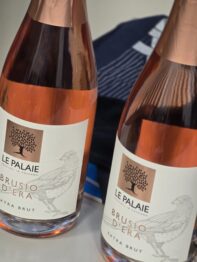 palaie Enoturistica - Open Day