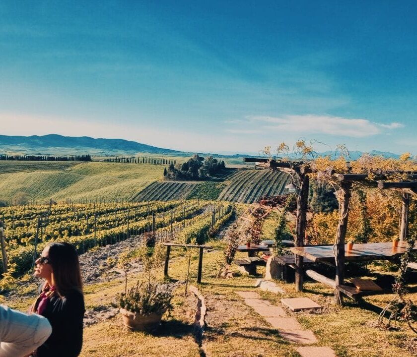 Gianni Moscardini Winery - 1 - Turismo del Vino in Toscana