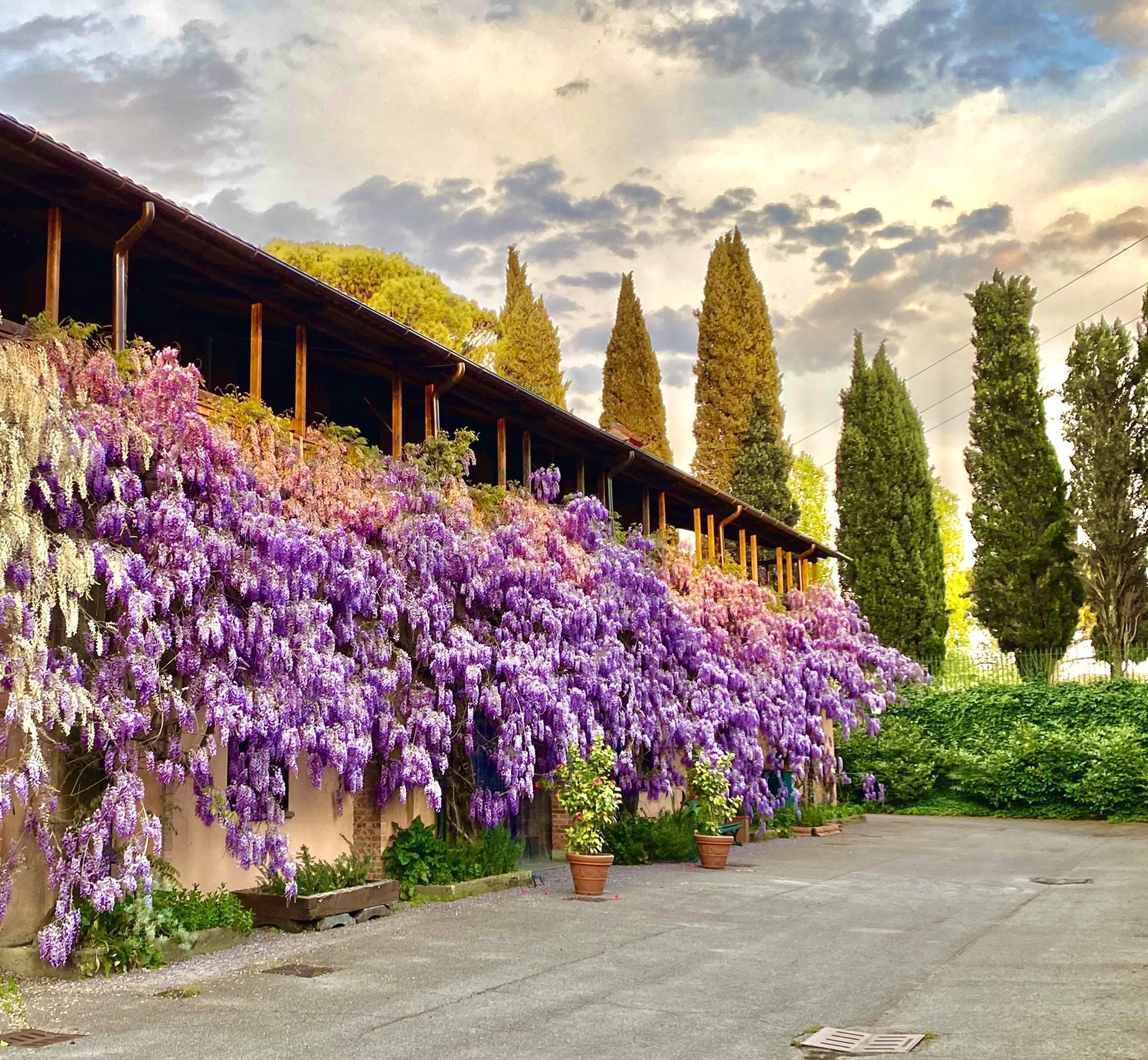 Convenzioni - 11 - Turismo del Vino in Toscana