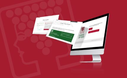 elezioni ddv Enoturistica - Elezioni on-line delle Donne del Vino