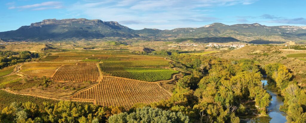 Le migliori destinazioni enoturistiche del 2023: esperienze indimenticabili tra vigneti e cantine - 14 - Turismo del Vino in Toscana