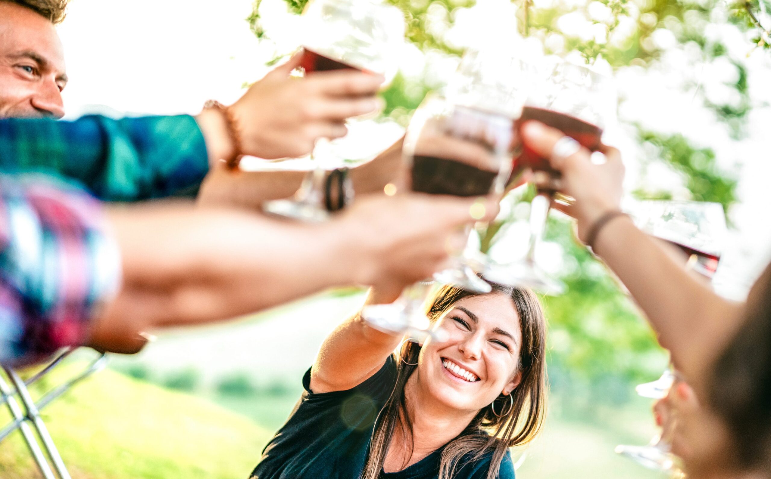 Hands toast with red wine - People having fun cheering at pic nic winetasting