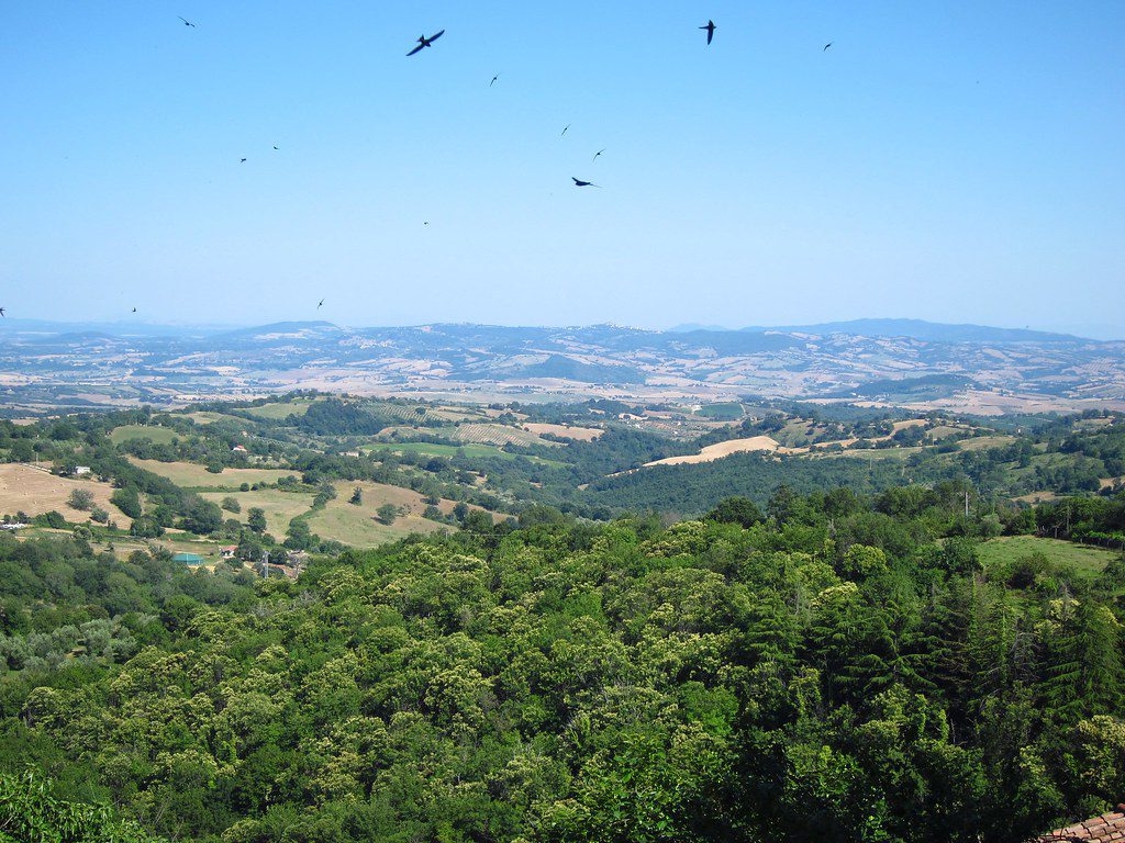 Concorso Progetta l'etichetta - 3 - Turismo del Vino in Toscana