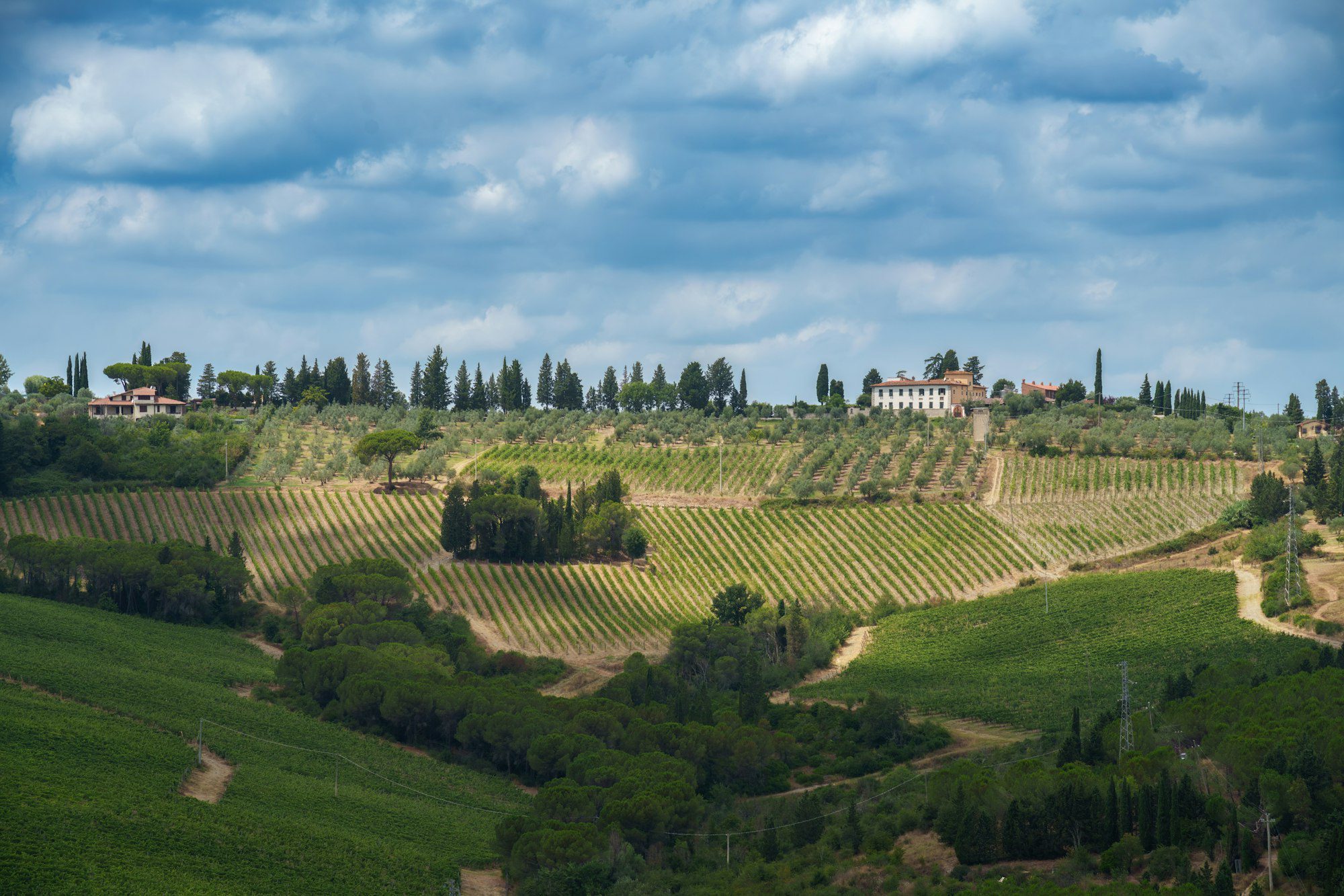 Rural landscape of Chianti, Tuscany, Italy