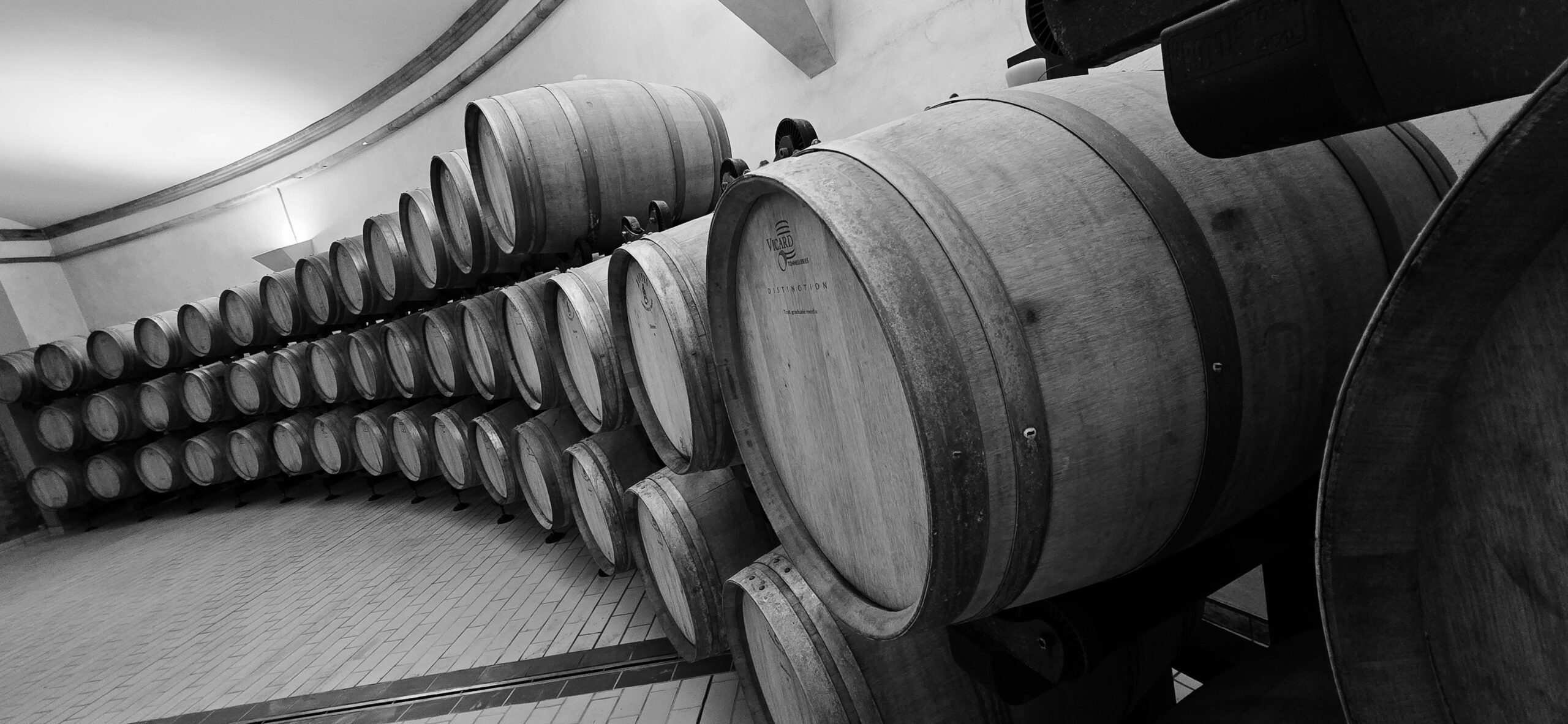 Gita a Badia di Morrona - 2 - Turismo del Vino in Toscana Gita a Badia di Morrona - 1 - Turismo del Vino in Toscana