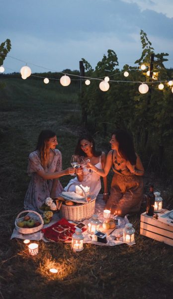 Friends having a picnic in a vineyard on summer night